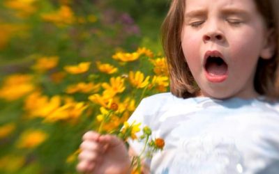Tips For How To Prevent Seasonal Allergies For Your Child…
