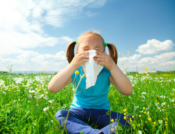 Allergy Problems? – Try Some of These Allergy Treatment Options To Get Some Relief!